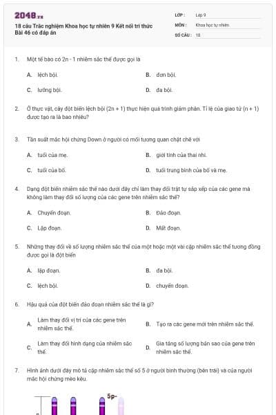 18 câu Trắc nghiệm Khoa học tự nhiên 9 Kết nối tri thức Bài 46 có đáp án