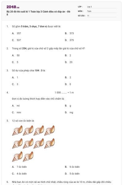 Bộ 20 đề thi cuối kì 1 Toán lớp 3 Cánh diều có đáp án - Đề 8