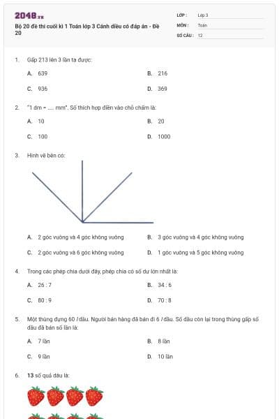 Bộ 20 đề thi cuối kì 1 Toán lớp 3 Cánh diều có đáp án - Đề 20