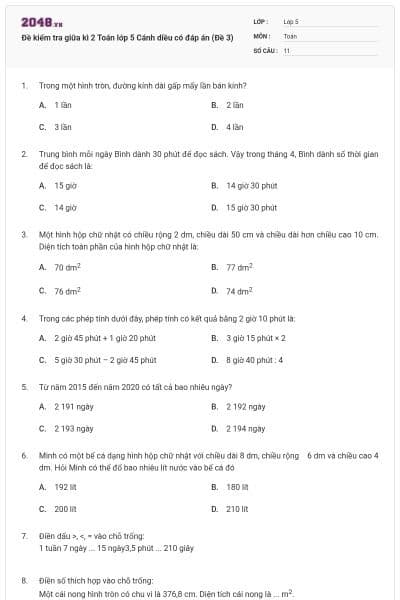 Đề kiểm tra giữa kì 2 Toán lớp 5 Cánh diều có đáp án (Đề 3)