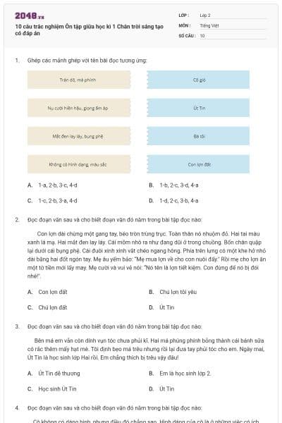 10 câu trắc nghiệm Ôn tập giữa học kì 1 Chân trời sáng tạo có đáp án