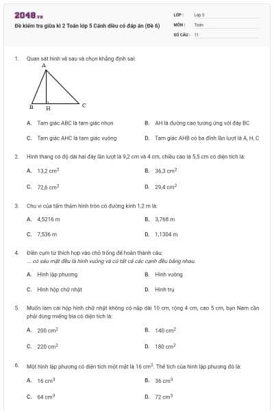 Đề kiểm tra giữa kì 2 Toán lớp 5 Cánh diều có đáp án (Đề 6)