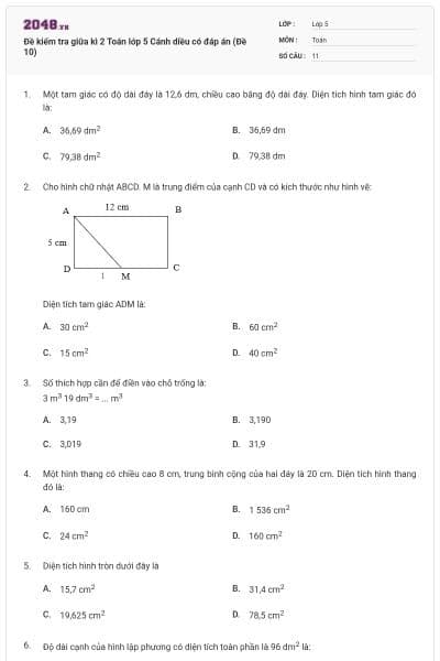 Đề kiểm tra giữa kì 2 Toán lớp 5 Cánh diều có đáp án (Đề 10)