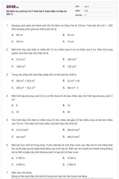 Đề kiểm tra cuối học kì 2 Toán lớp 5 Cánh diều có đáp án (Đề 1)
