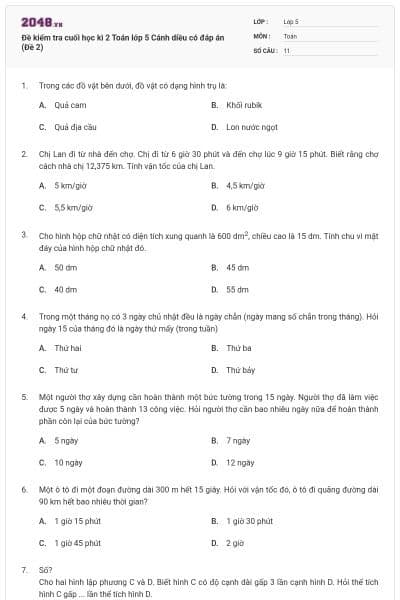 Đề kiểm tra cuối học kì 2 Toán lớp 5 Cánh diều có đáp án (Đề 2)