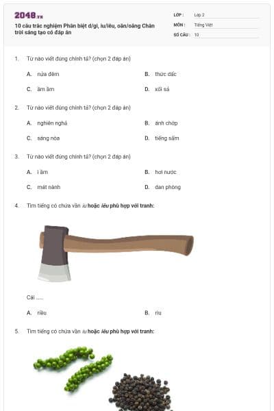 10 câu trắc nghiệm Phân biệt d/gi, iu/iêu, oăn/oăng Chân trời sáng tạo có đáp án