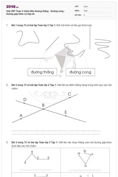 Giải VBT Toán 2 Cánh diều Đường thẳng - Đường cong - Đường gấp khúc có đáp án