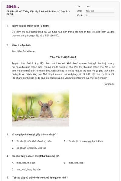 Đề thi cuối kì 2 Tiếng Việt lớp 1 Kết nối tri thức có đáp án - Đề 10