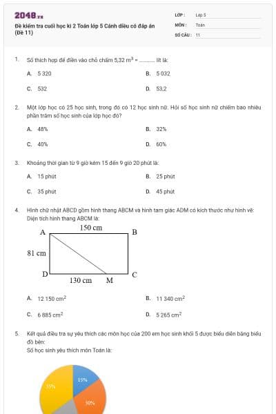 Đề kiểm tra cuối học kì 2 Toán lớp 5 Cánh diều có đáp án (Đề 11)