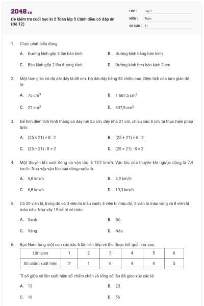Đề kiểm tra cuối học kì 2 Toán lớp 5 Cánh diều có đáp án (Đề 12)
