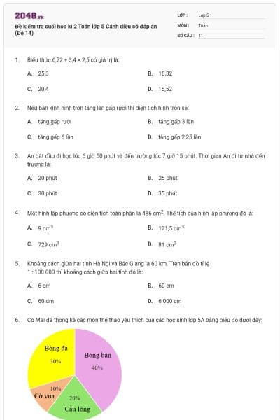 Đề kiểm tra cuối học kì 2 Toán lớp 5 Cánh diều có đáp án (Đề 14)