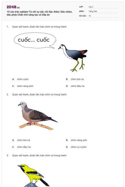 10 câu trắc nghiệm Từ chỉ sự vật, chỉ đặc điểm; Dấu chấm, dấu phẩy  Chân trời sáng tạo có đáp án