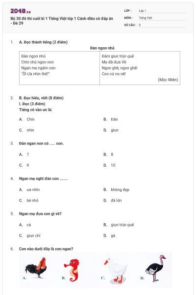 Bộ 30 đề thi cuối kì 1 Tiếng Việt lớp 1 Cánh diều có đáp án - Đề 29