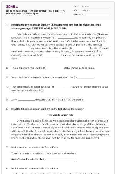 Đề thi ôn vào 6 môn Tiếng Anh trường THCS & THPT Thủ Đức năm 2024-2025 có đáp án