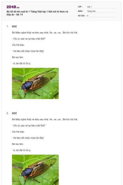 Bộ 60 đề thi cuối kì 1 Tiếng Việt lớp 1 Kết nối tri thức có đáp án - Đề 14