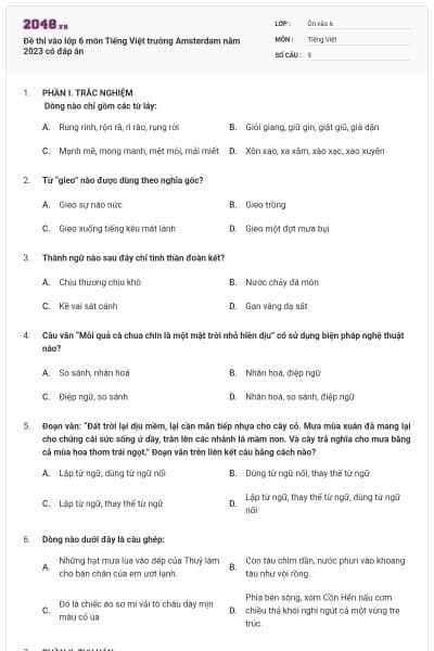 Đề thi vào lớp 6 môn Tiếng Việt trường Amsterdam năm 2023 có đáp án