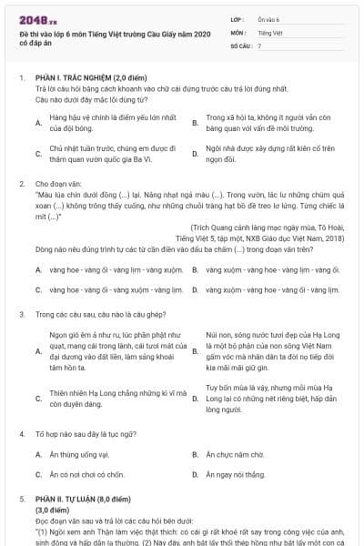 Đề thi vào lớp 6 môn Tiếng Việt trường Cầu Giấy năm 2020 có đáp án