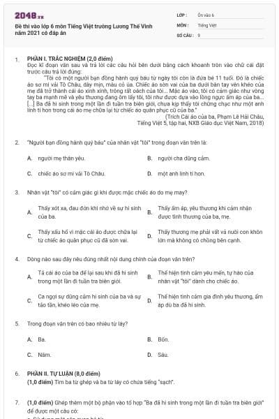 Đề thi vào lớp 6 môn Tiếng Việt trường Lương Thế Vinh năm 2021 có đáp án