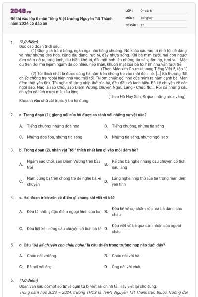 Đề thi vào lớp 6 môn Tiếng Việt trường Nguyễn Tất Thành năm 2024 có đáp án