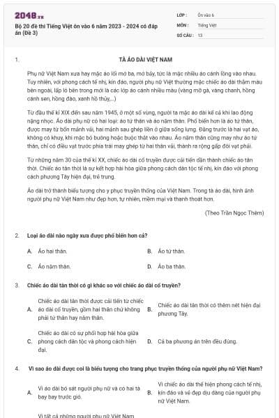 Bộ 20 đề thi Tiếng Việt ôn vào 6 năm 2023 - 2024 có đáp án (Đề 3)