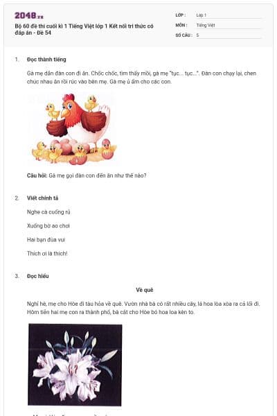 Bộ 60 đề thi cuối kì 1 Tiếng Việt lớp 1 Kết nối tri thức có đáp án - Đề 54