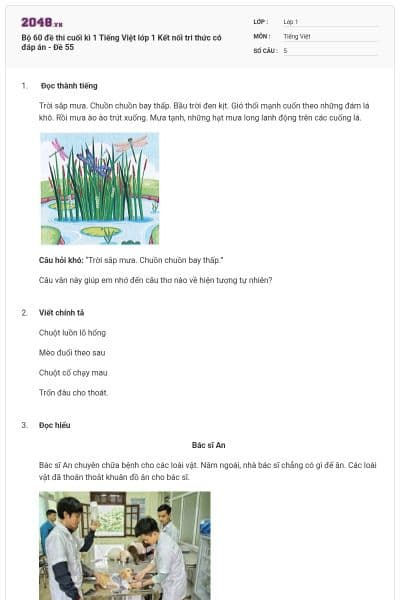 Bộ 60 đề thi cuối kì 1 Tiếng Việt lớp 1 Kết nối tri thức có đáp án - Đề 55
