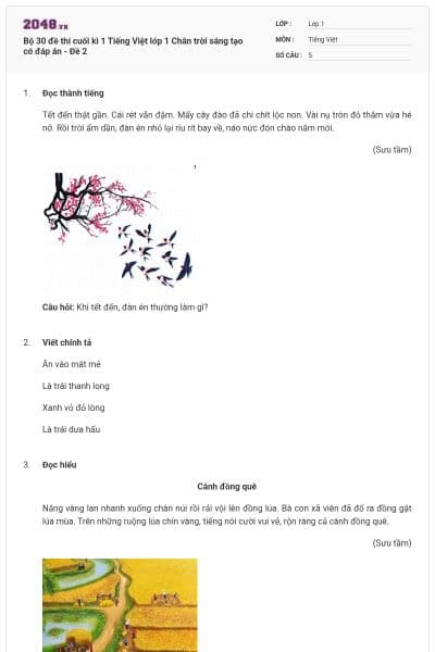 Bộ 30 đề thi cuối kì 1 Tiếng Việt lớp 1 Chân trời sáng tạo có đáp án - Đề 2