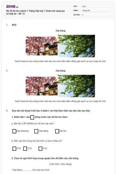 Bộ 30 đề thi cuối kì 1 Tiếng Việt lớp 1 Chân trời sáng tạo có đáp án - Đề 13