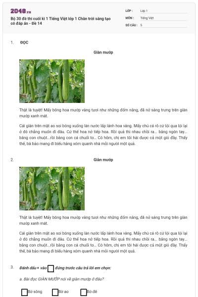 Bộ 30 đề thi cuối kì 1 Tiếng Việt lớp 1 Chân trời sáng tạo có đáp án - Đề 14