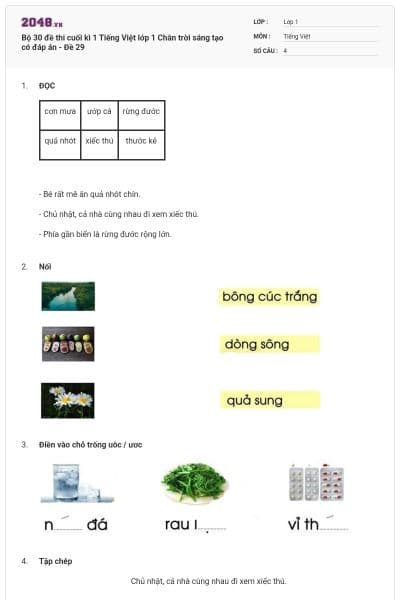 Bộ 30 đề thi cuối kì 1 Tiếng Việt lớp 1 Chân trời sáng tạo có đáp án - Đề 29
