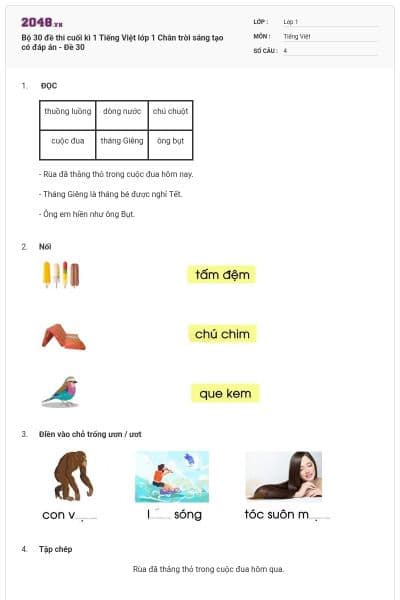 Bộ 30 đề thi cuối kì 1 Tiếng Việt lớp 1 Chân trời sáng tạo có đáp án - Đề 30