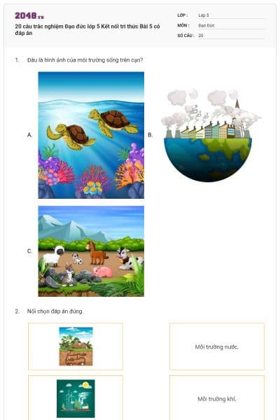 20 câu trắc nghiệm Đạo đức lớp 5 Kết nối tri thức Bài 5 có đáp án