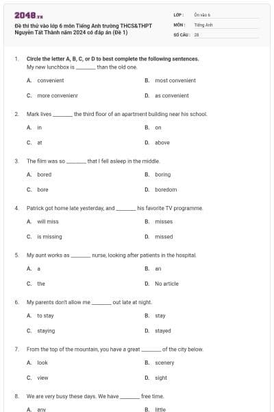 Đề thi thử vào lớp 6 môn Tiếng Anh trường THCS&THPT Nguyễn Tất Thành năm 2024 có đáp án (Đề 1)