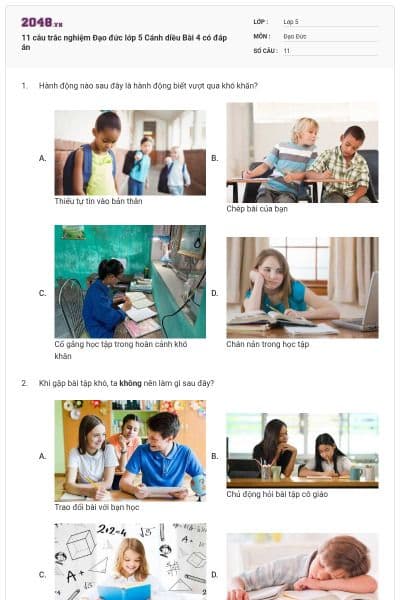 11 câu trắc nghiệm Đạo đức lớp 5 Cánh diều Bài 4 có đáp án