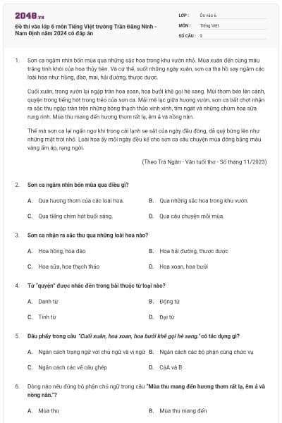 Đề thi vào lớp 6 môn Tiếng Việt trường Trần Đăng Ninh - Nam Định năm 2024 có đáp án
