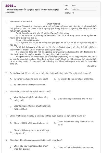 10 câu trắc nghiệm Ôn tập giữa học kì 1 Chân trời sáng tạo có đáp án