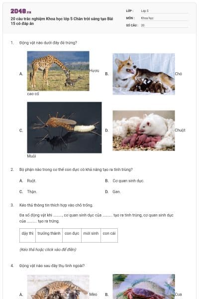 20 câu trắc nghiệm Khoa học lớp 5 Chân trời sáng tạo Bài 15 có đáp án