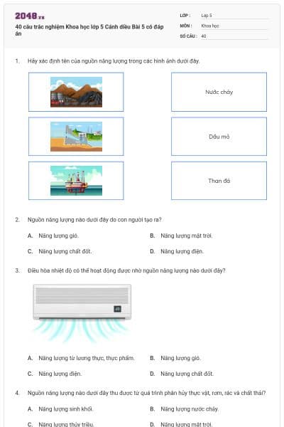 40 câu trắc nghiệm Khoa học lớp 5 Cánh diều Bài 5 có đáp án