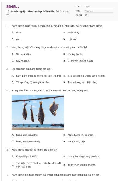 15 câu trắc nghiệm Khoa học lớp 5 Cánh diều Bài 6 có đáp án