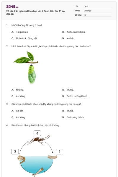 20 câu trắc nghiệm Khoa học lớp 5 Cánh diều Bài 11 có đáp án