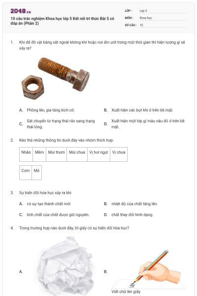 10 câu trắc nghiệm Khoa học lớp 5 Kết nối tri thức Bài 5 có đáp án (Phần 2)