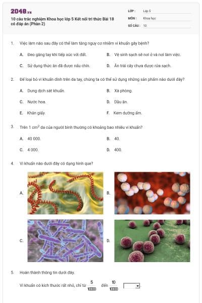 10 câu trắc nghiệm Khoa học lớp 5 Kết nối tri thức Bài 18 có đáp án (Phần 2)