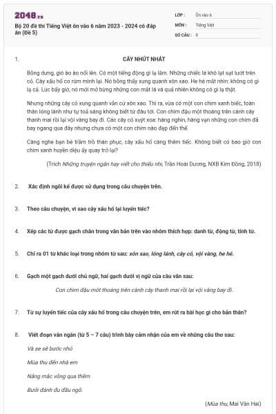 Bộ 20 đề thi Tiếng Việt ôn vào 6 năm 2023 - 2024 có đáp án (Đề 5)
