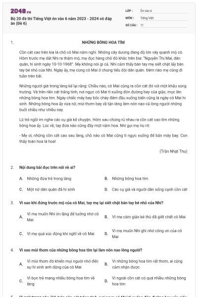 Bộ 20 đề thi Tiếng Việt ôn vào 6 năm 2023 - 2024 có đáp án (Đề 6)