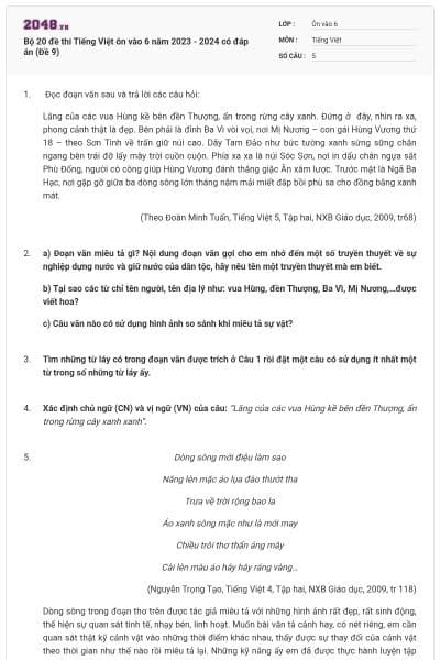 Bộ 20 đề thi Tiếng Việt ôn vào 6 năm 2023 - 2024 có đáp án (Đề 9)