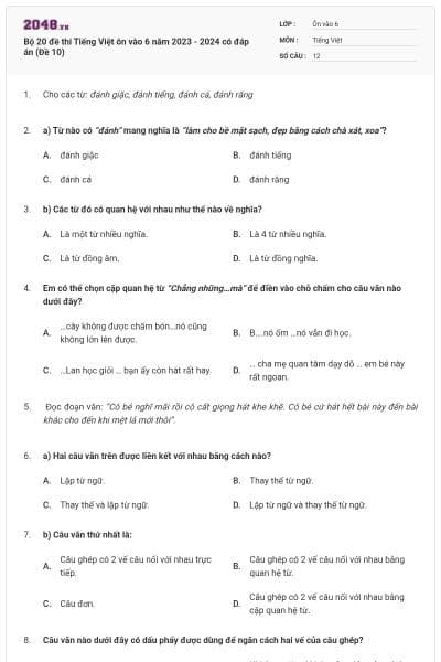 Bộ 20 đề thi Tiếng Việt ôn vào 6 năm 2023 - 2024 có đáp án (Đề 10)