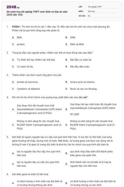Đề minh hoạ tốt nghiệp THPT môn Sinh có đáp án năm 2025 (Đề 103)