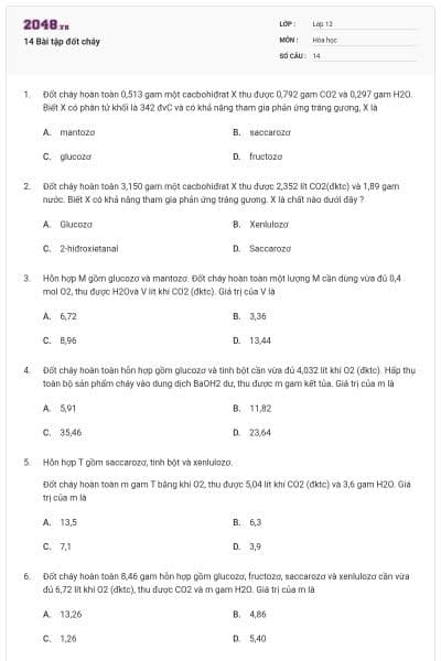 14 Bài tập đốt cháy