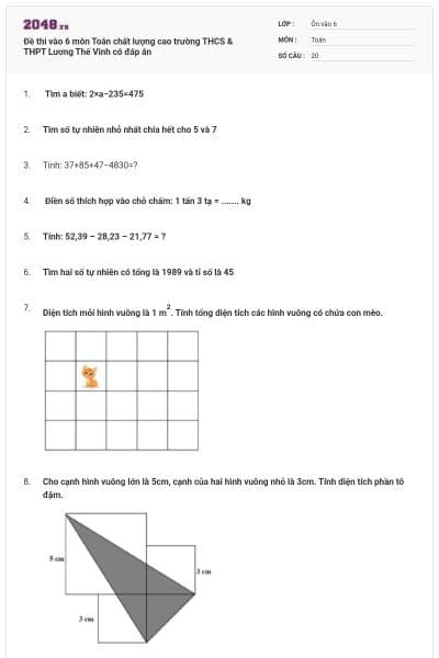 Đề thi vào 6 môn Toán chất lượng cao trường THCS & THPT Lương Thế Vinh có đáp án