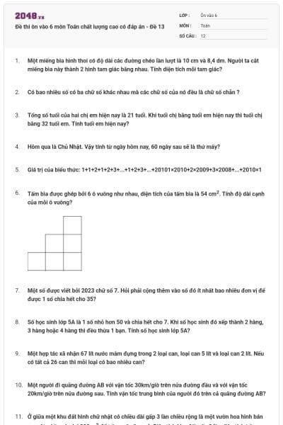 Đề thi ôn vào 6 môn Toán chất lượng cao có đáp án - Đề 13
